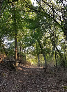 Conservancy Land