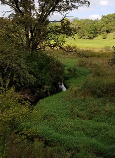 Conservancy Land